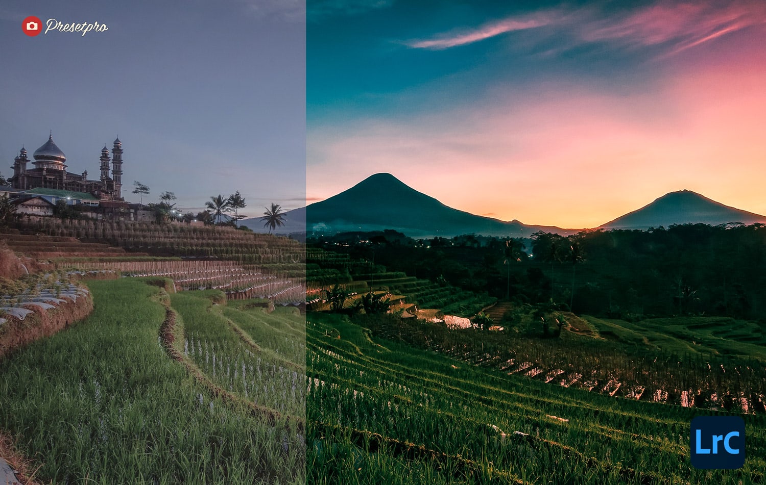 Free Lightroom Preset Jungle Sunset Before and After Presetpro