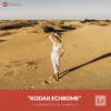 Free Lightroom Preset Kodak Ektachrome Presetpro