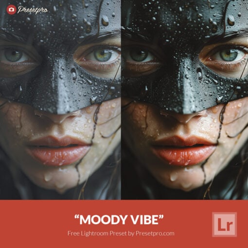 Free Lightroom Preset Moody Vibe by Presetpro.com