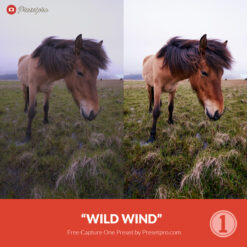 Free Capture One Style Wild Wind Presetpro.com