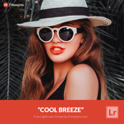 Free Lightroom Preset Cool Breeze Presetpro.com