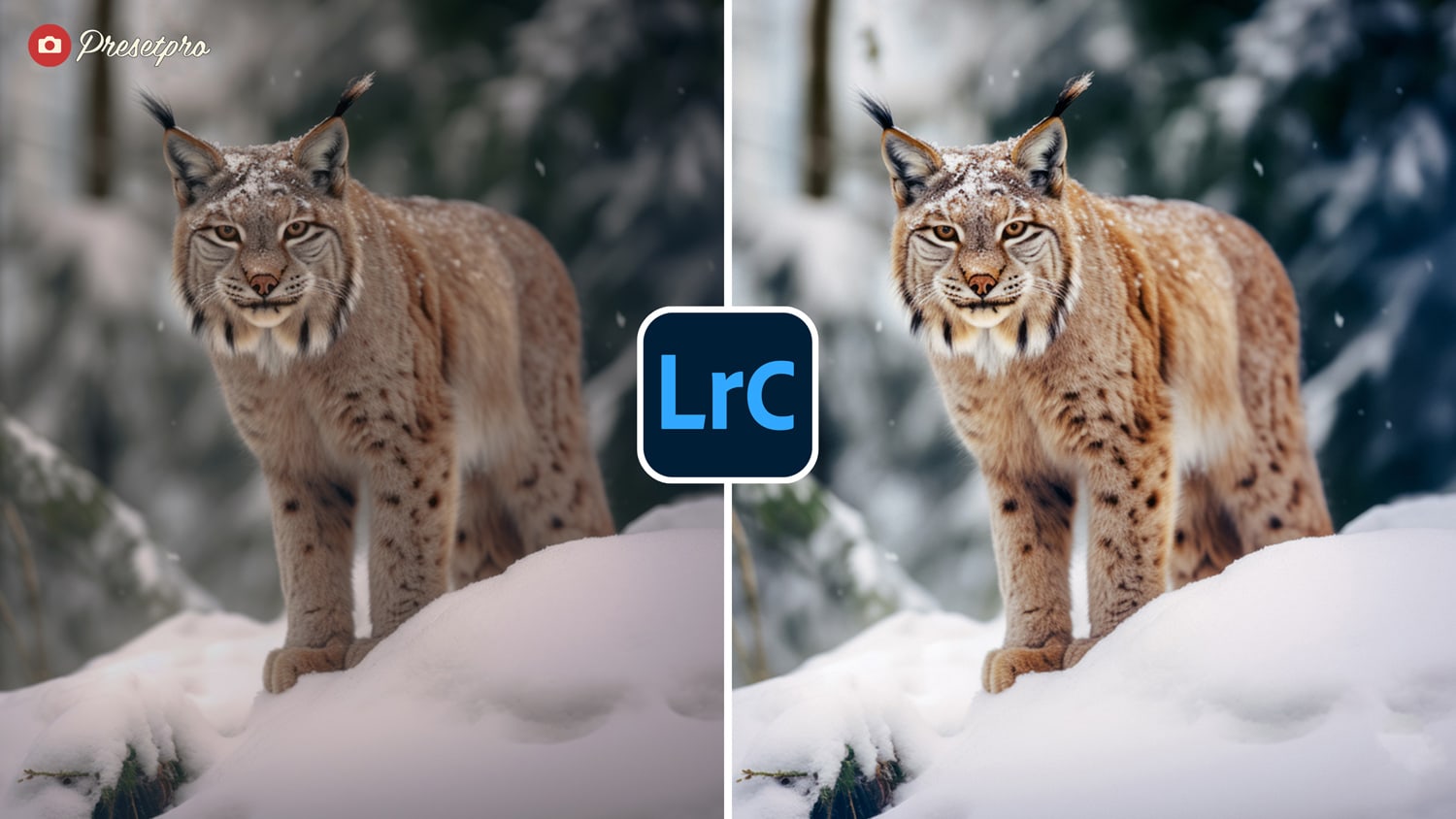 Free Lightroom Preset Ultra 100 Before and After Presetpro.com