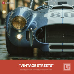 Free Lightroom Preset Vintage Streets by Presetpro.com Cover