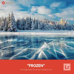 Free Lightroom Preset Frozen Presetpro.com