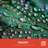 Free Lightroom Preset Macro Presetpro.com
