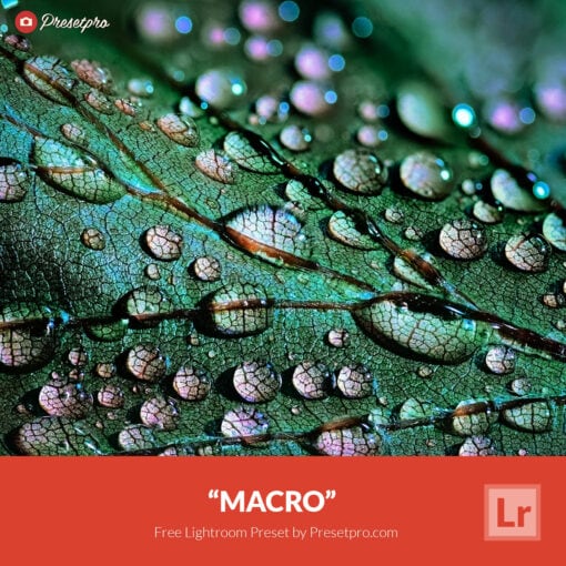 Free Lightroom Preset Macro Presetpro.com