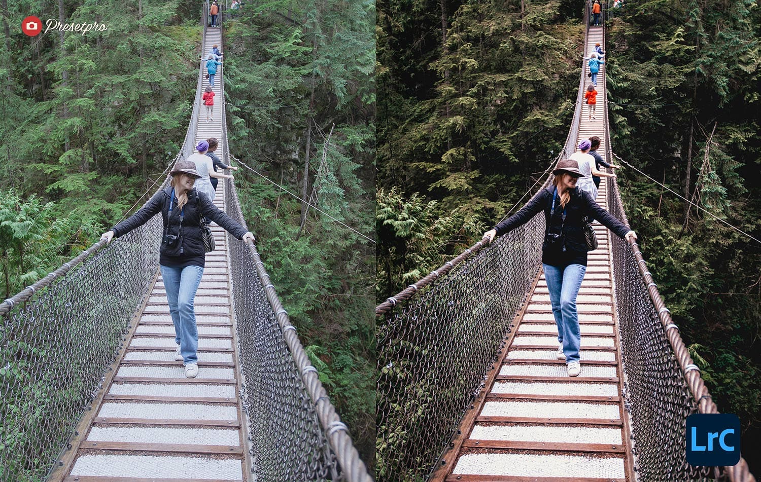 Free Lightroom Preset Moody Vibe Before and After Presetpro.com