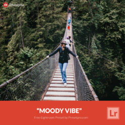 Free Lightroom Preset Moody Vibe Presetpro.com
