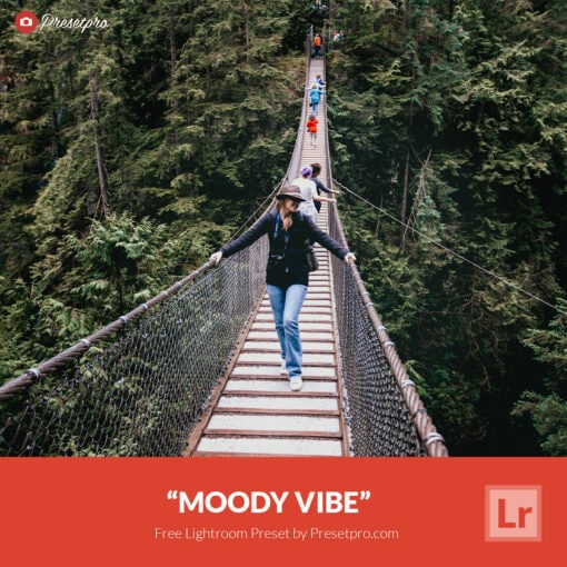 Free Lightroom Preset Moody Vibe Presetpro.com