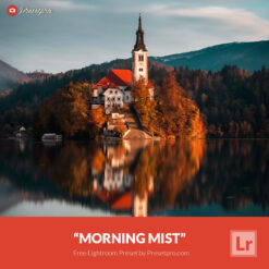 Free Lightroom Preset Morning Mist Presetpro.com