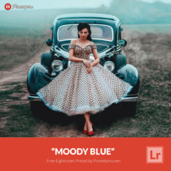 Free Lightroom Preset Moody Blue Presetpro.com