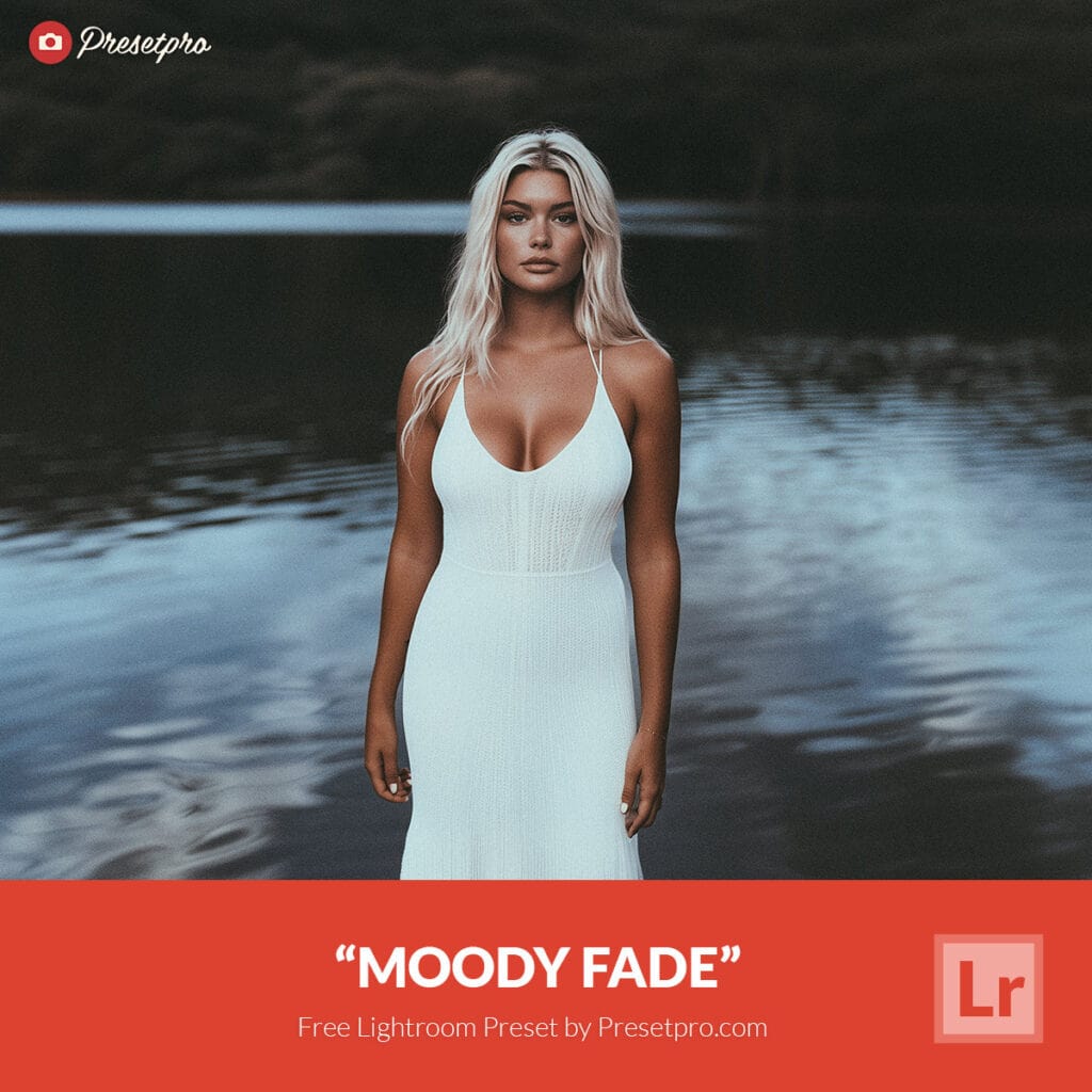 Free Lightroom Preset Moody Fade by Presetpro.com
