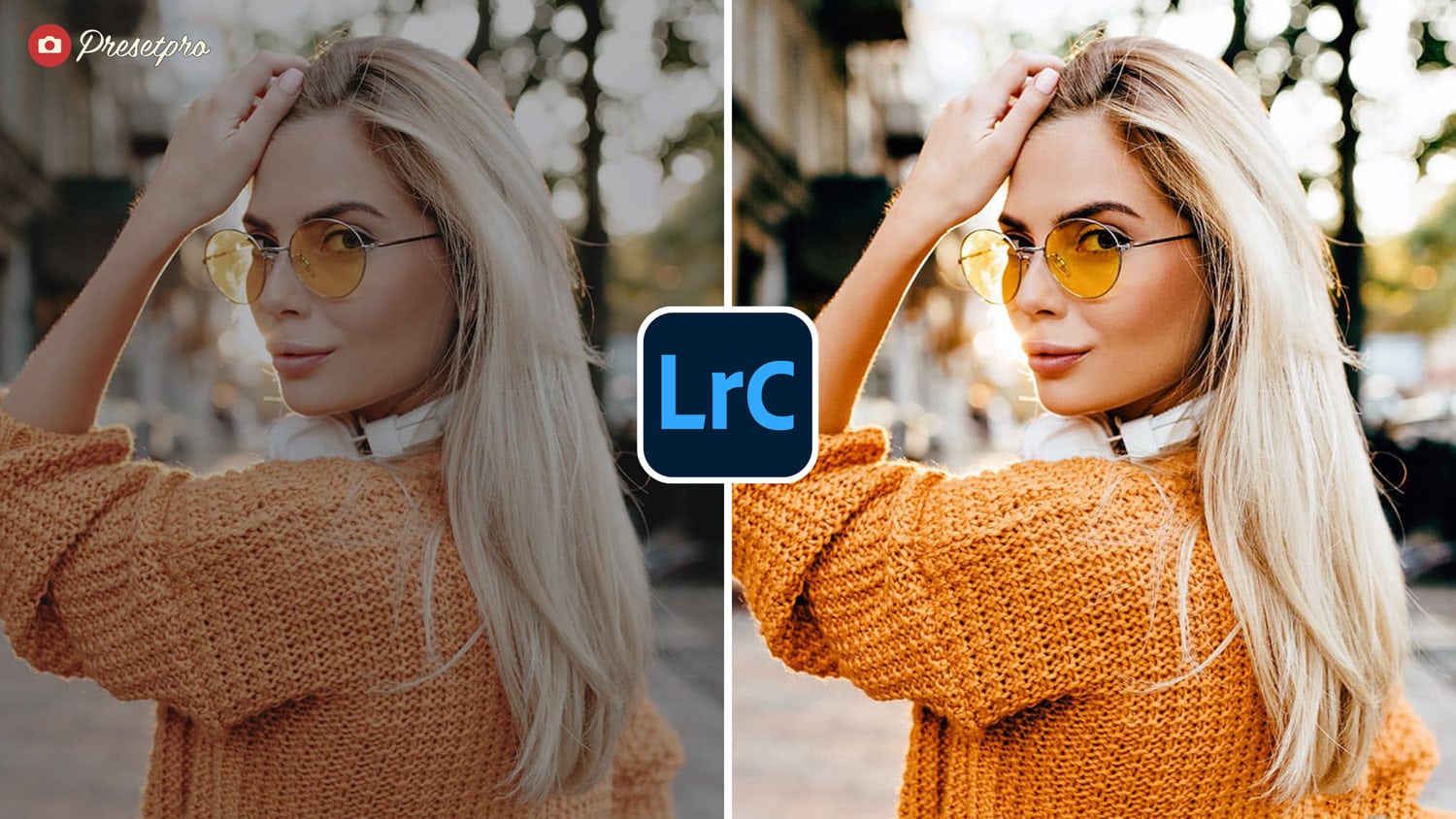 Free Lightroom Preset Color Negative Before and After Presetpro.com