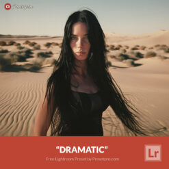 Free Lightroom Preset Dramatic by Presetpro