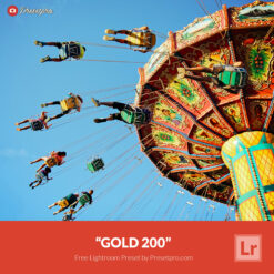 Free Lightroom Preset Gold 200 Presetpro.com