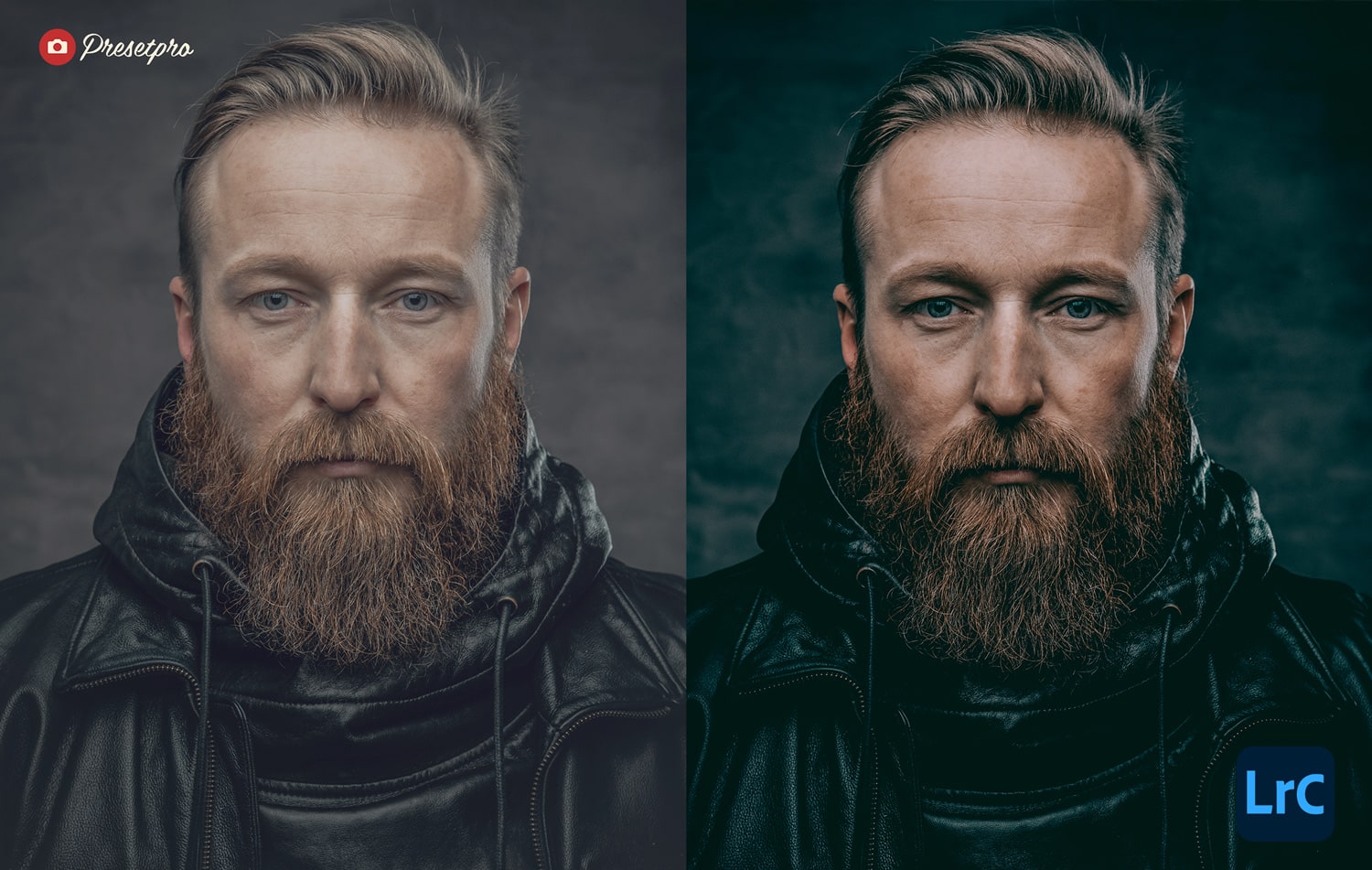 Free Lightroom Preset North Before and After Presetpro.com