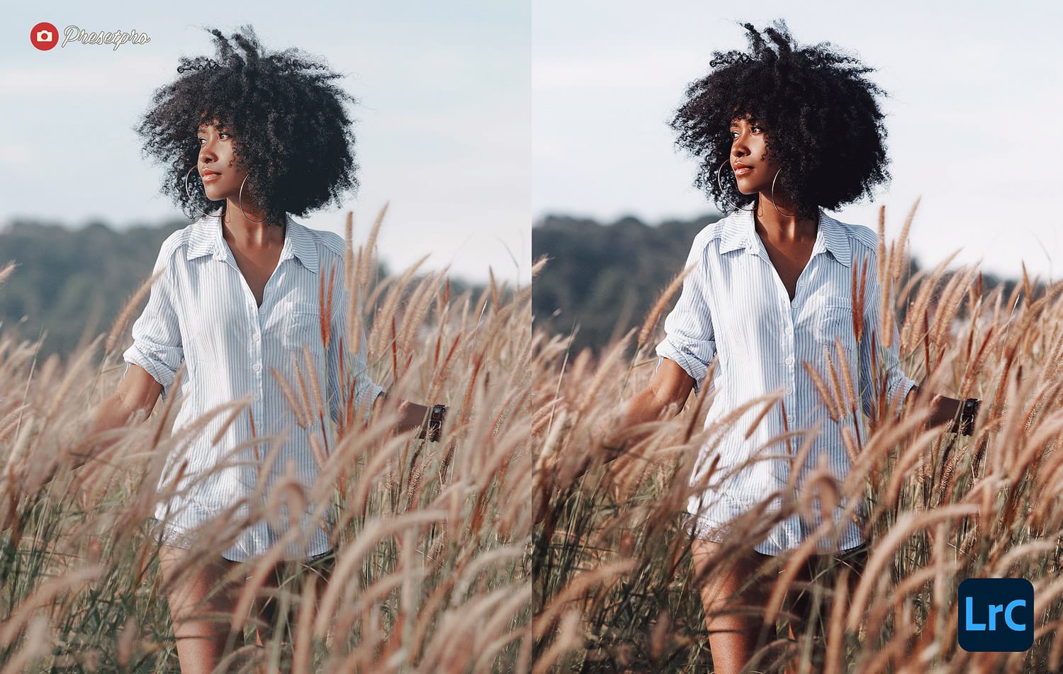 Free Lightroom Preset Boho Film Before and After Presetpro.com