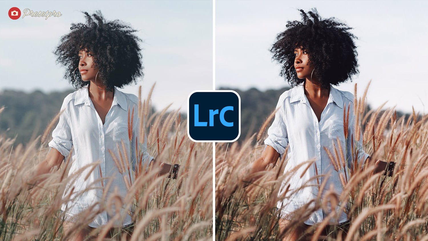 Free Lightroom Preset Film Grade Before and After