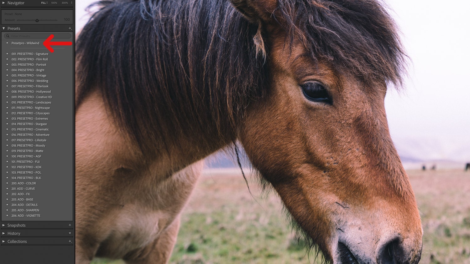 Free Lightroom Preset Wild Wind Before and After