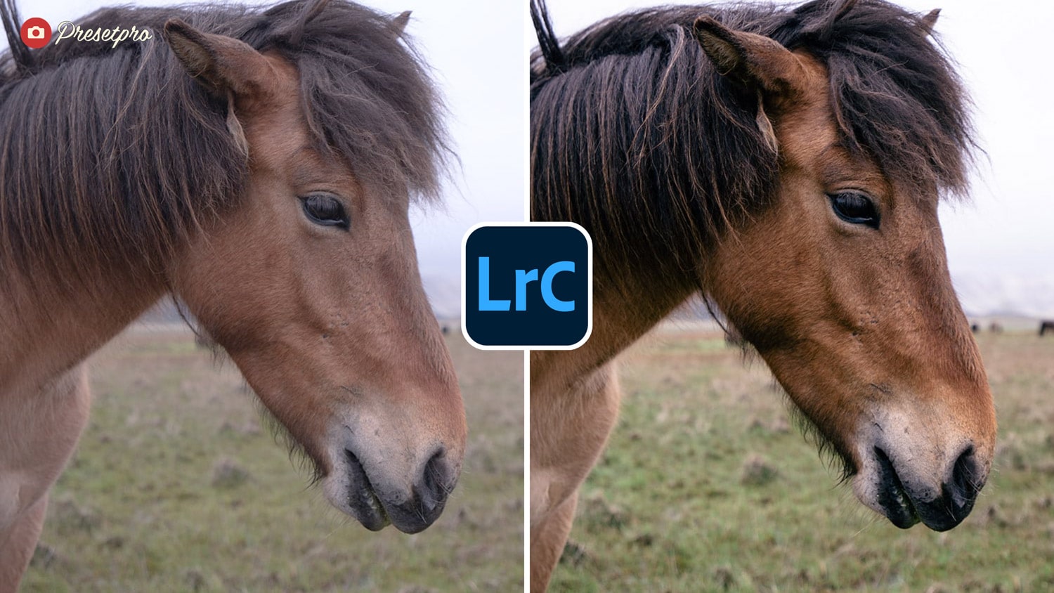 Free Lightroom Preset Wild Wind Before and After Demo