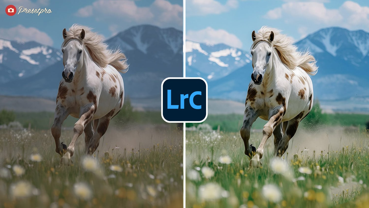 Free Lightroom Preset Color 100 Before and After Presetpro.com