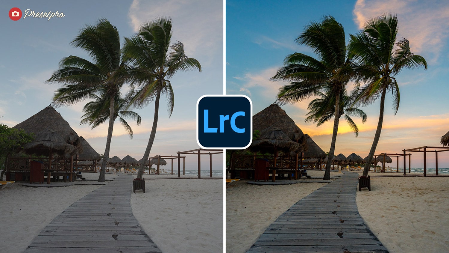 Free Lightroom Preset Reversal Film Before and After Presetpro.com