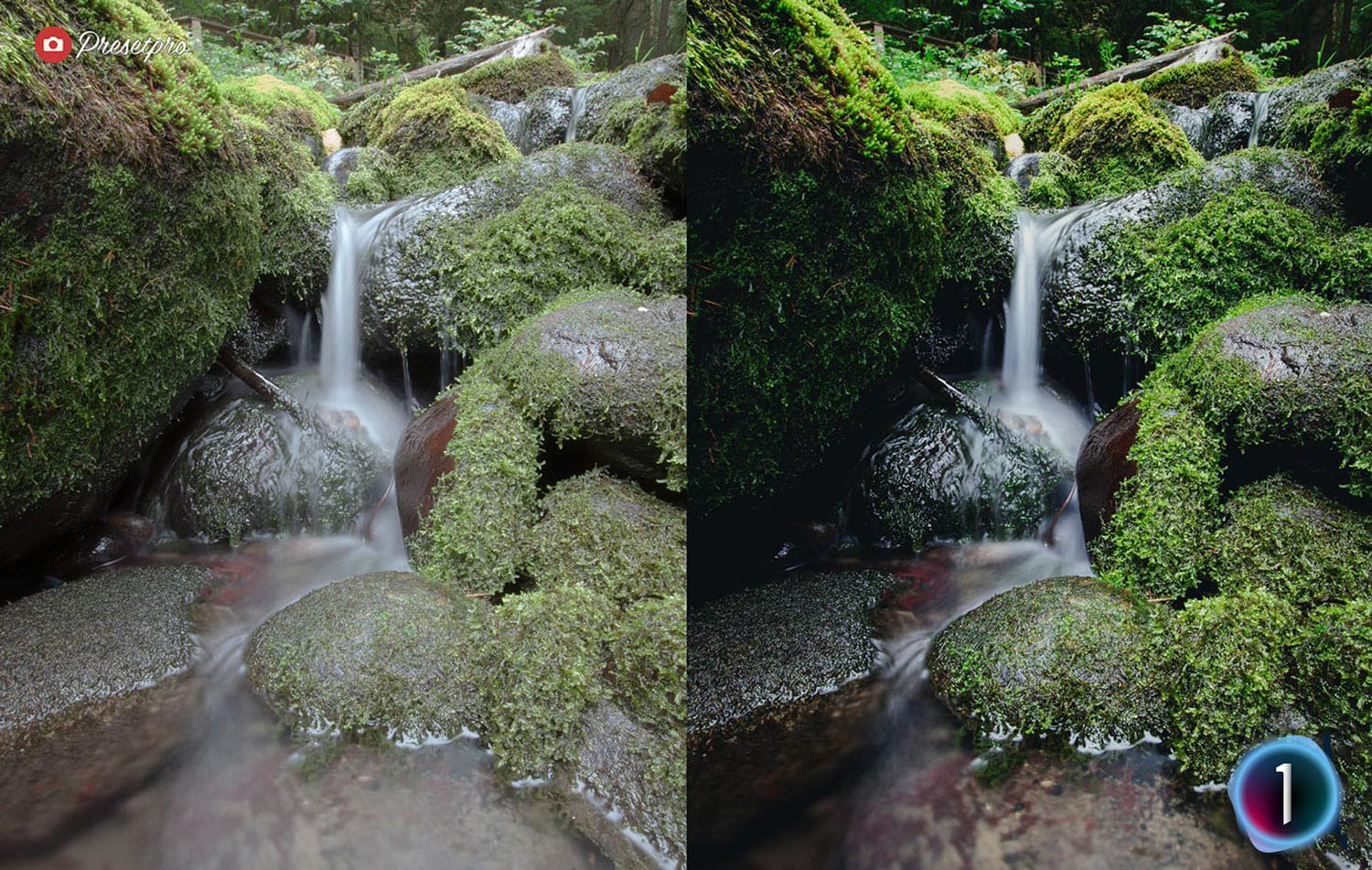 Free Capture One Style Woodland Before and After Presetpro.com