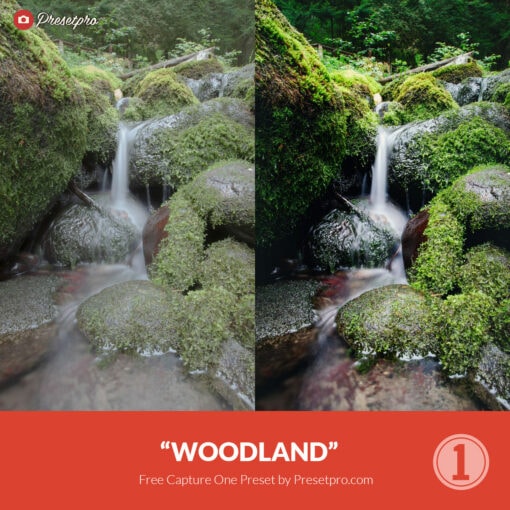 Free Capture One Style Woodland Presetpro.com