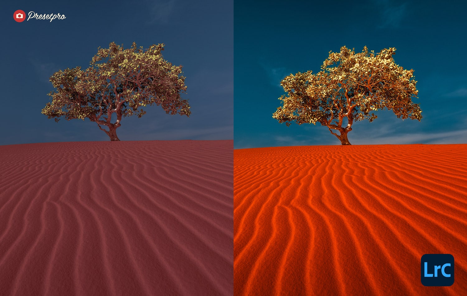 Free Lightroom Preset Panoramic Before and After Presetpro.com