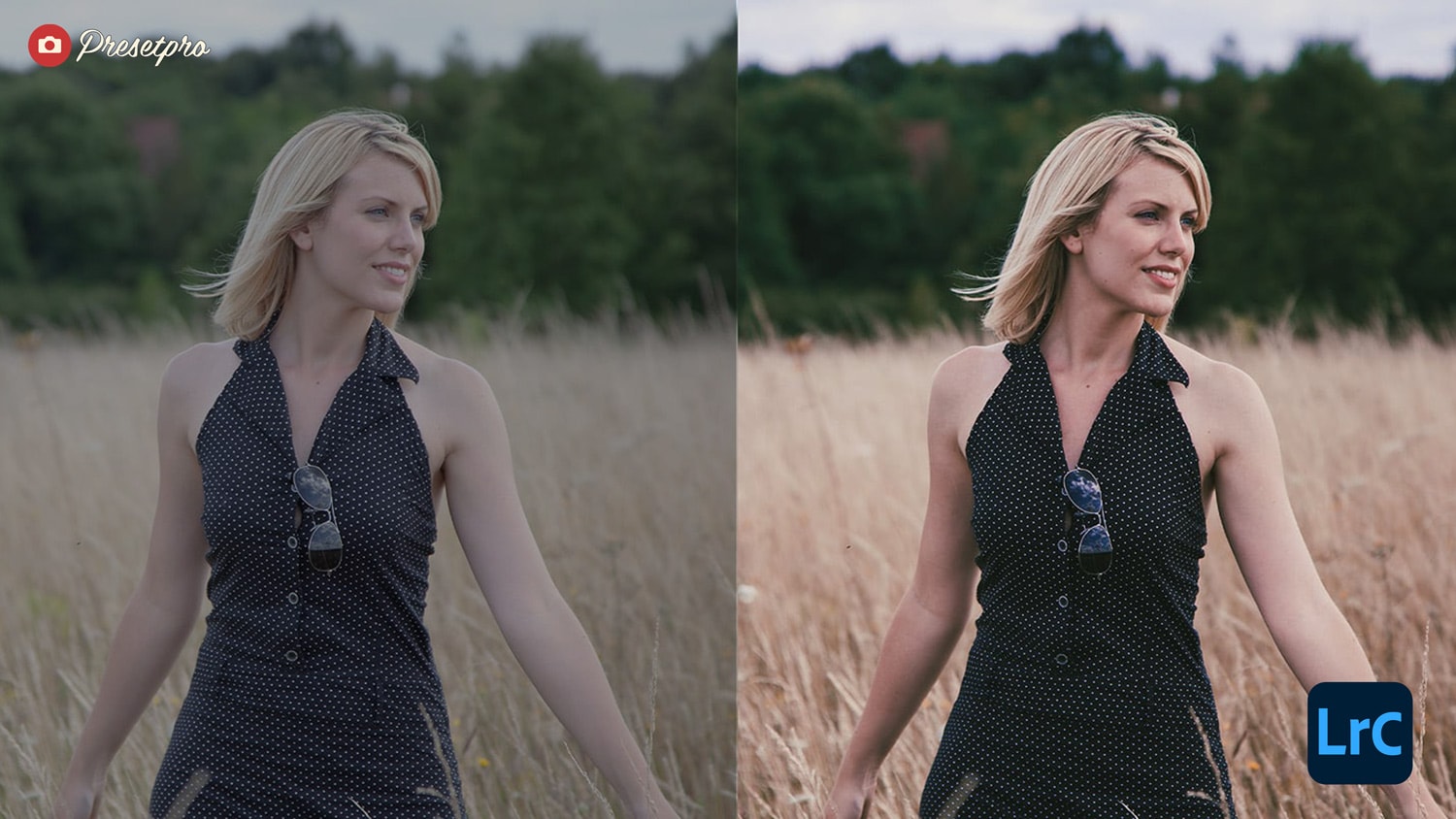 Free Lightroom Preset Filterlook Before and After Presetpro.com