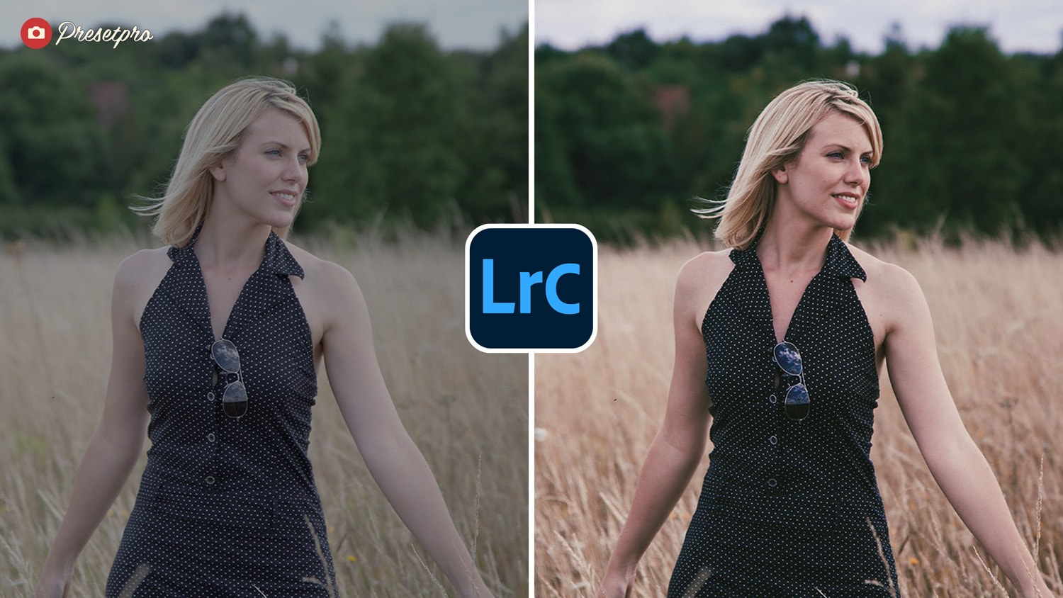 Free Lightroom Preset Filterlook Before and After Presetpro.com