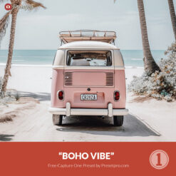 Free Capture One Style Boho Vibe