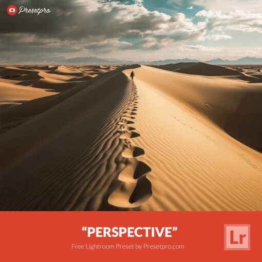 Free Lightroom Preset Perspective