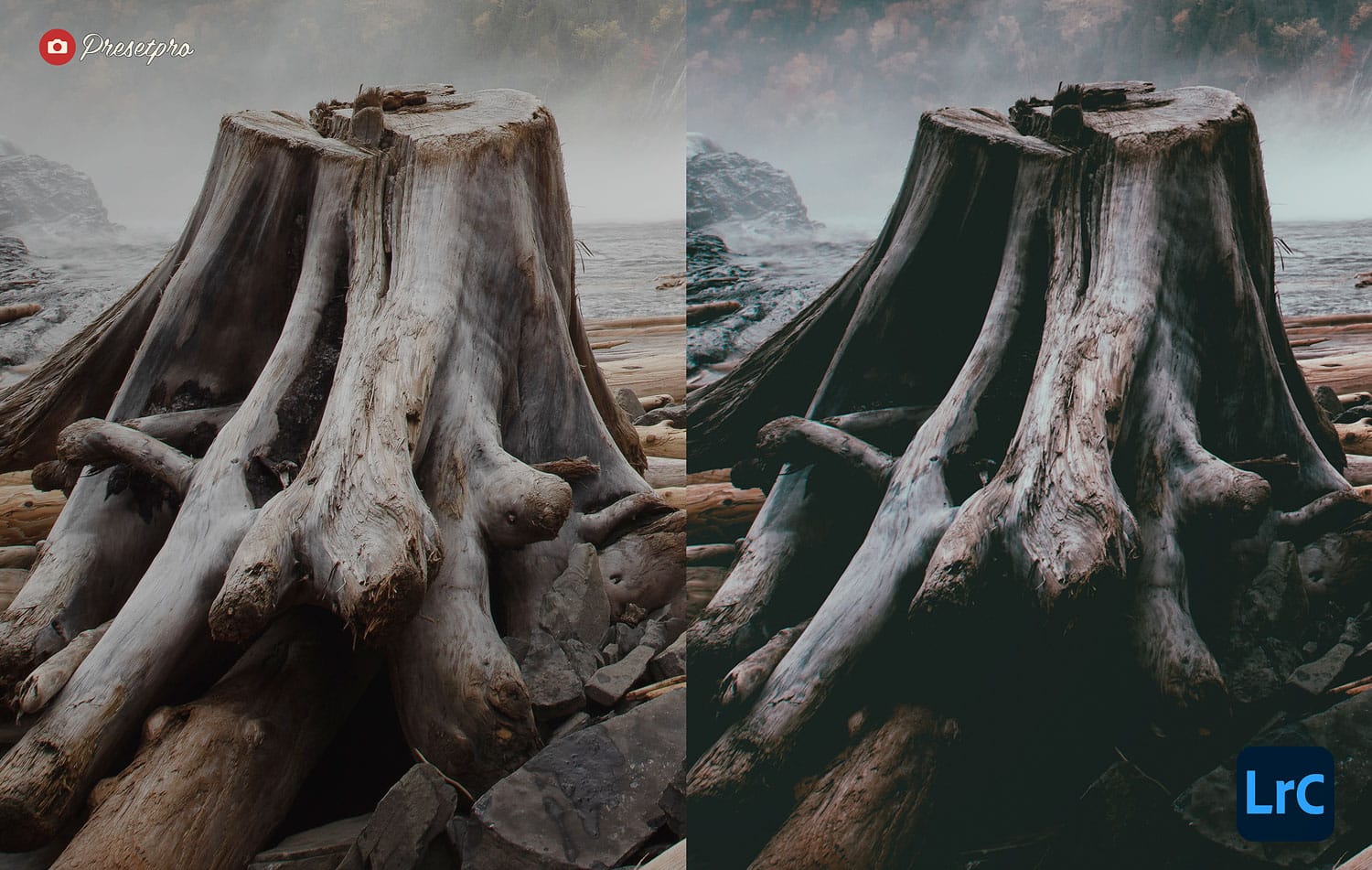 Free Lightroom Preset Woodsy Before and After Presetpro.com