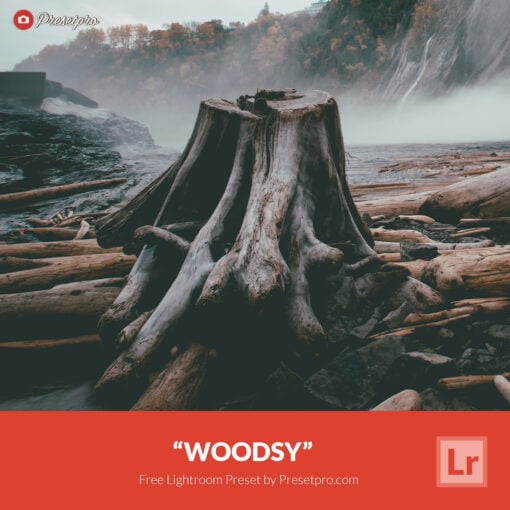 Free Lightroom Preset Woodsy