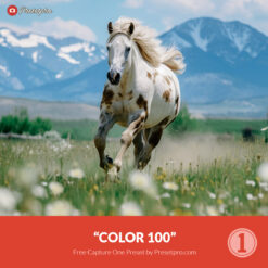 Free Capture One Style Color 100 Presetpro.com