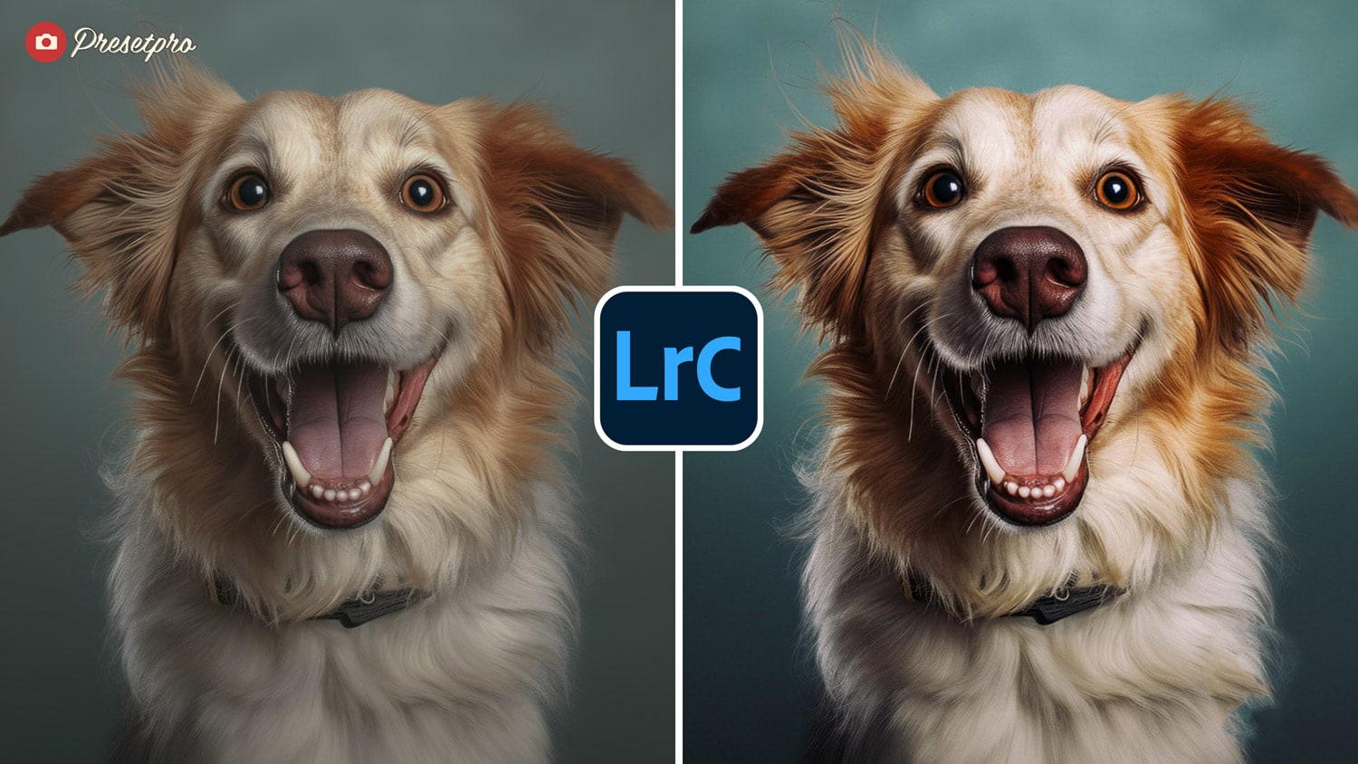 Free Lightroom Preset Studio Film Before and After Presetpro.com