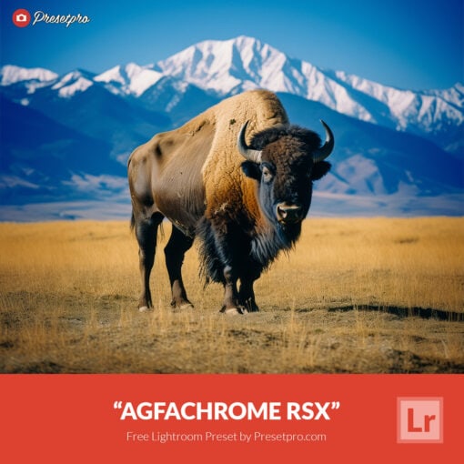 Free Lightroom Preset Agfachrome RSX Presetpro.com