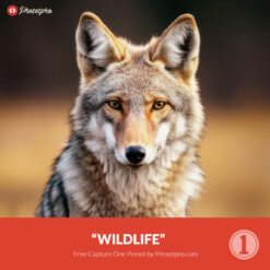 Free Capture One Style Wildlife Presetpro.com