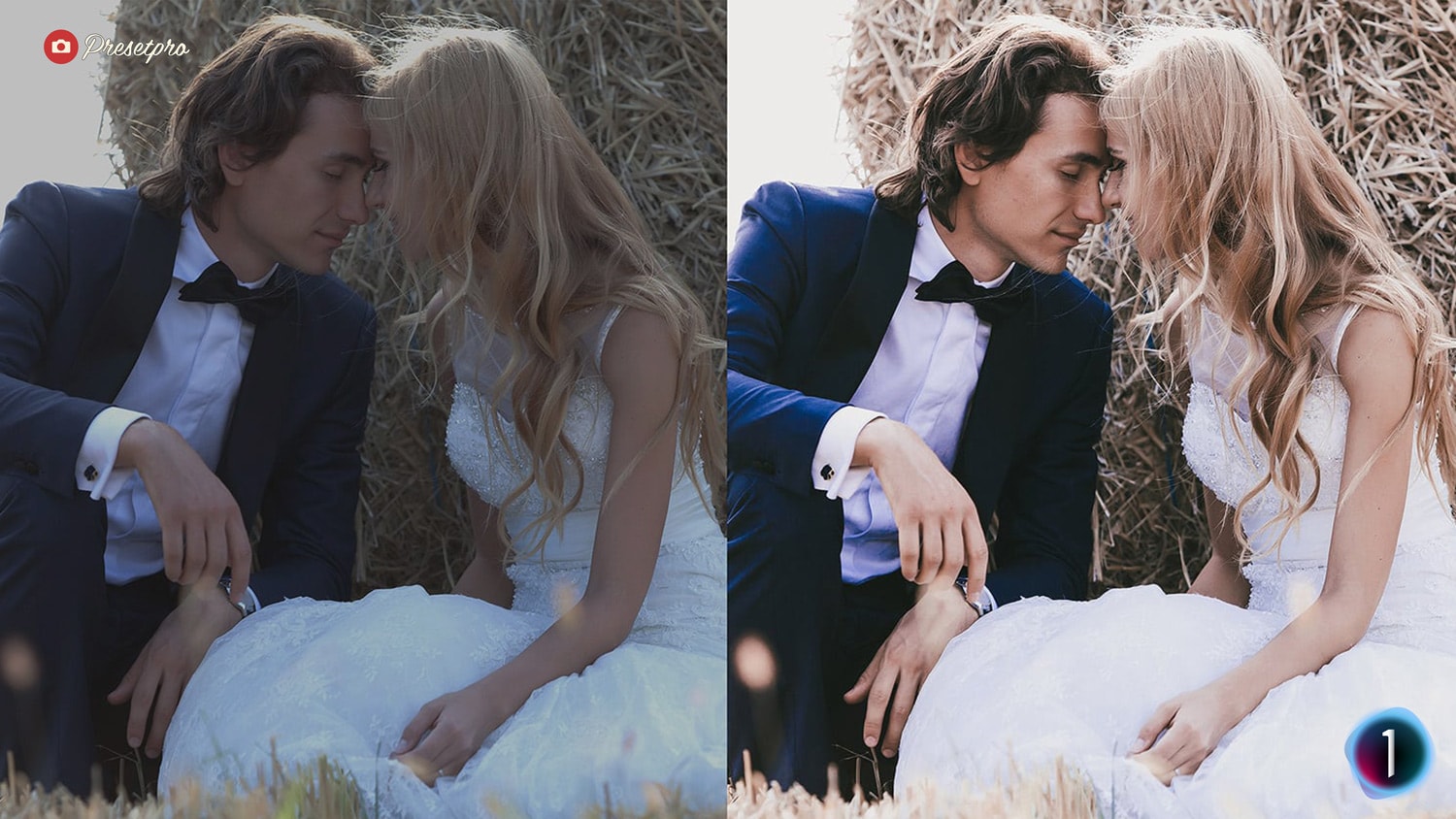 Free Capture One Style Matte Film Before After Presetpro.com