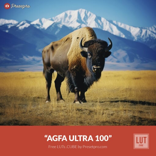 Free LUT Agfa Ultra 100 Lookup Table Presetpro.com