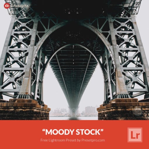 Free Lightroom Preset Moody Stock Presetpro.com