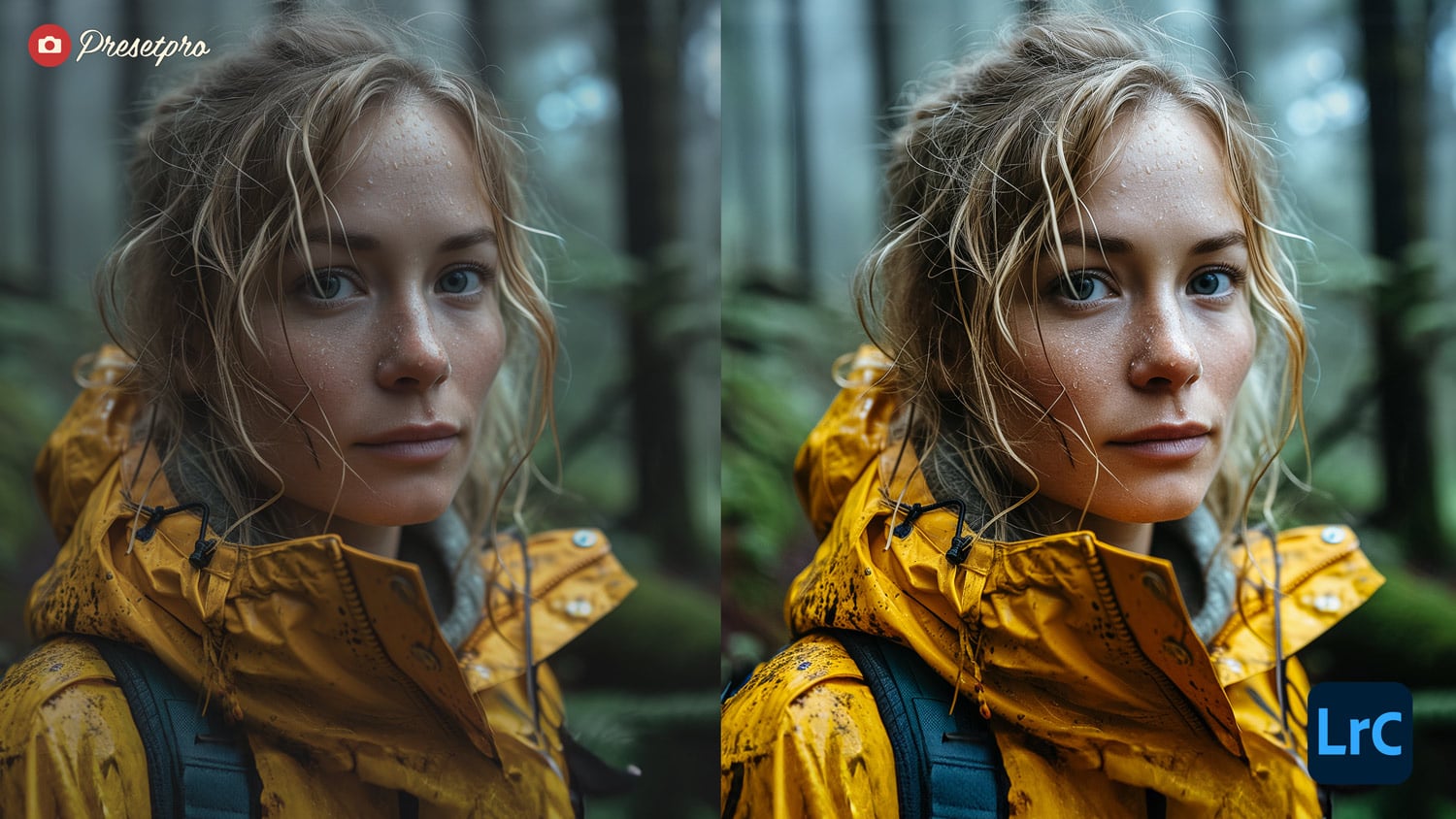 Free Lightroom Preset “Fuji Astia” Before and After Presetpro