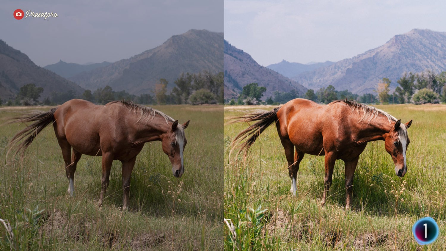 Free Capture One Style Retro Look Before and After Presetpro.com