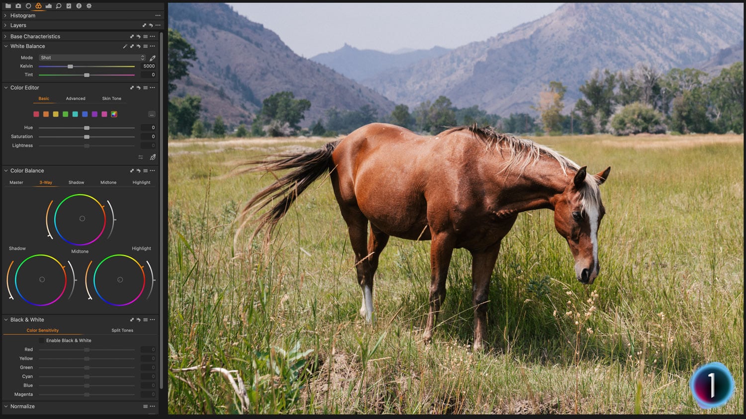 Free Capture One Style Retro Look Before and After Presetpro.com