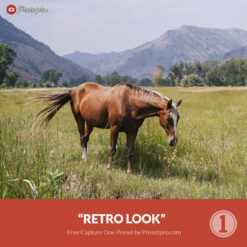 Free Capture One Style Retro Look Presetpro.com