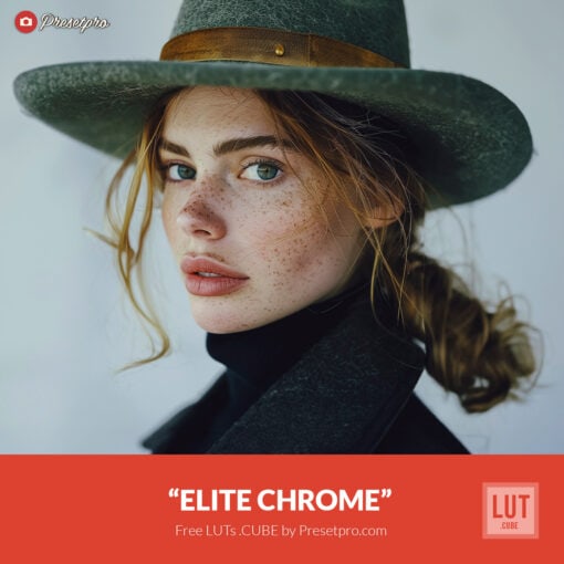 Free LUT Elite Chrome Lookup Table Presetpro.com