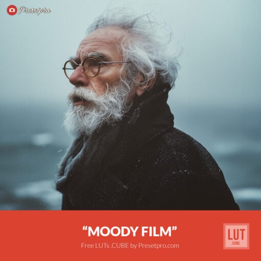 Free LUT Moody Film Lookup Table Presetpro.com