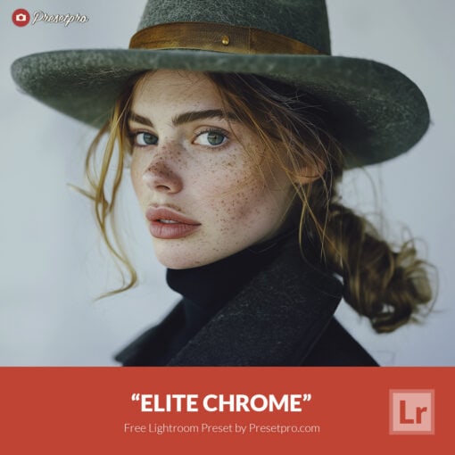 Free Lightroom Preset Elite Chrome by Presetpro.com