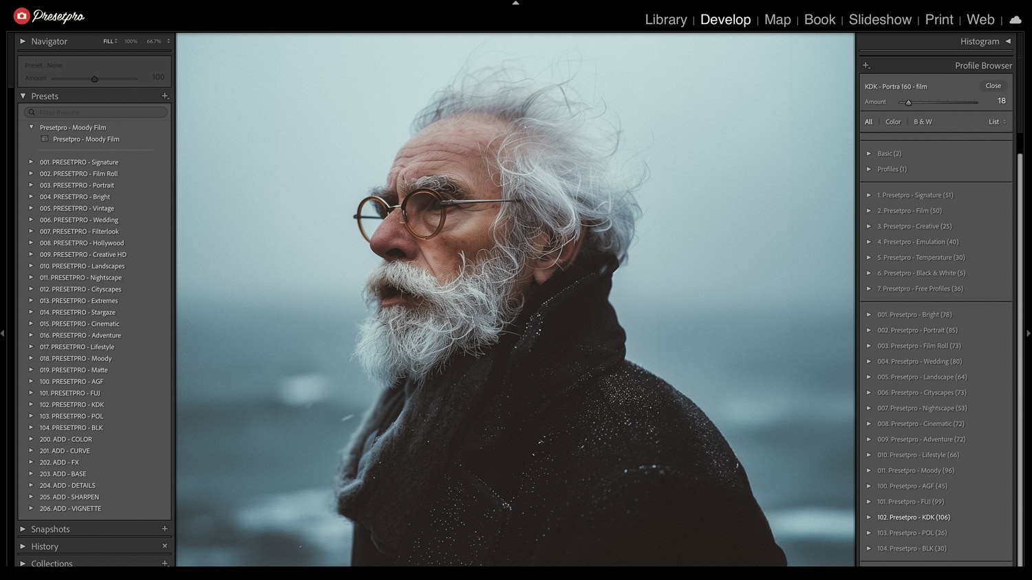 Free Lightroom Preset Moody Film Before After Presetpro.com